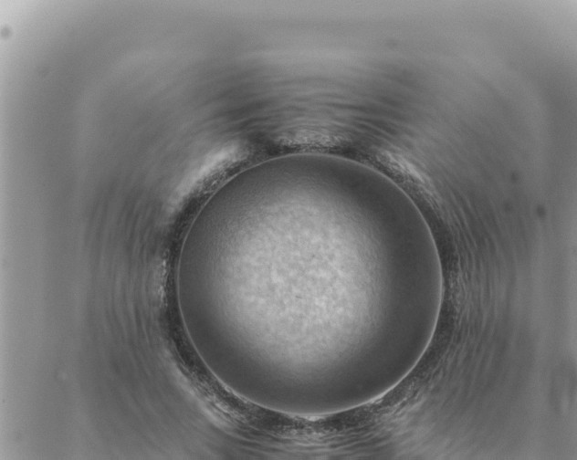 X0000088600735200706011202