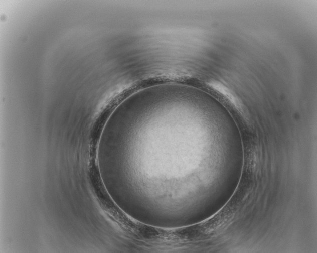 X0000088600736200706011202