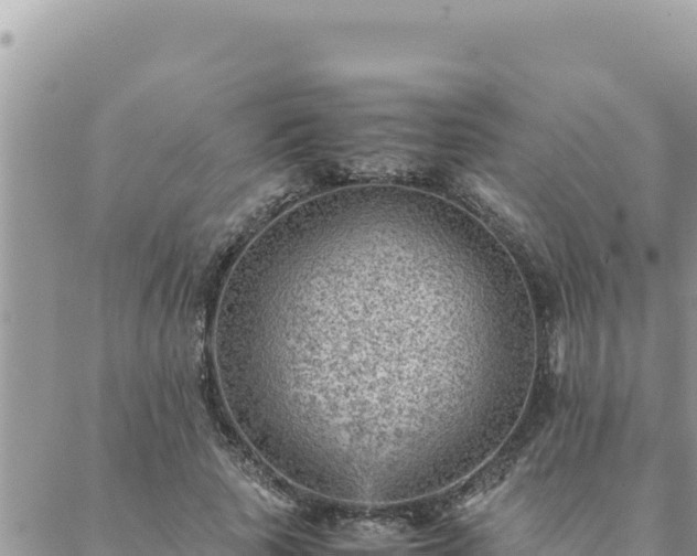 X0000088600737200706011202