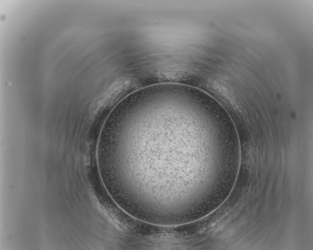 X0000088600738200706011202