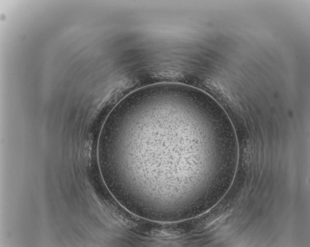 X0000088600739200706011202