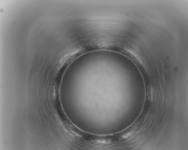 X0000088600740200706011202