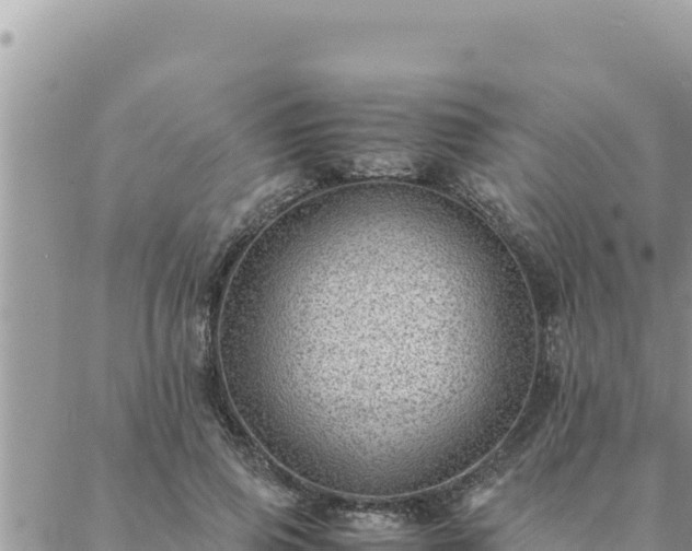 X0000088600741200706011202