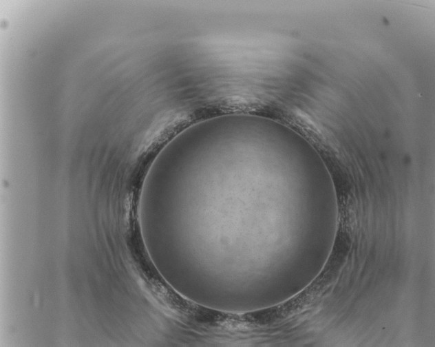 X0000088600742200706011202