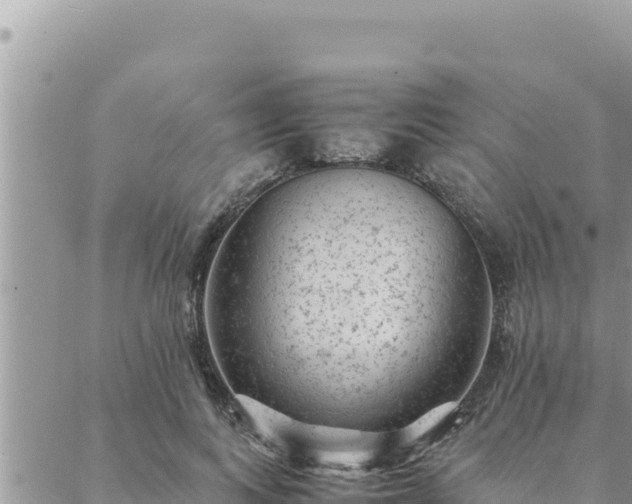 X0000088600743200706011202