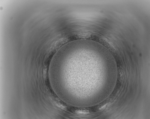 X0000088600745200706011202