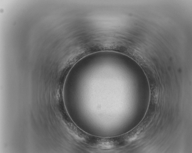 X0000088600746200706011202