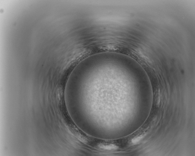 X0000088600747200706011202