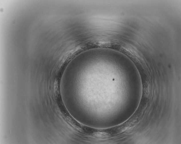 X0000088600748200706011202