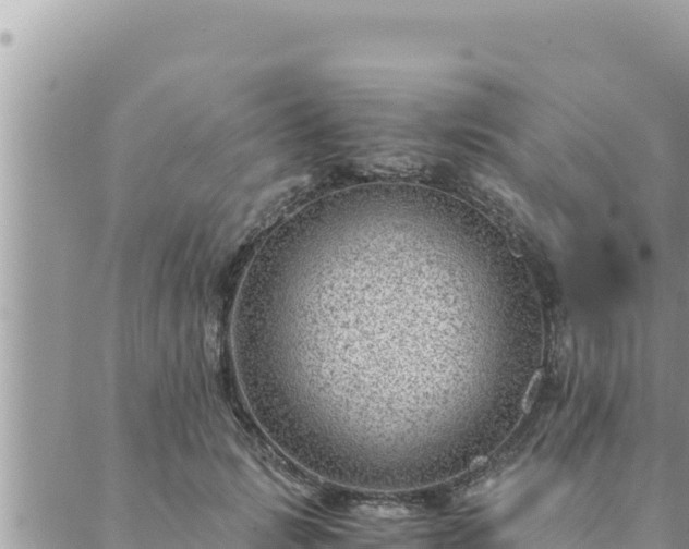 X0000088600749200706011202