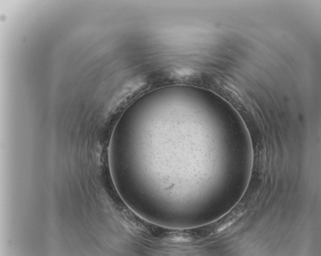 X0000088600750200706011202