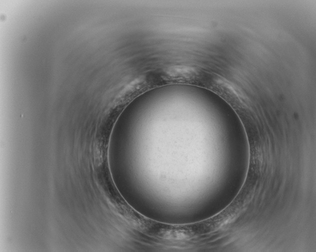 X0000088600751200706011202