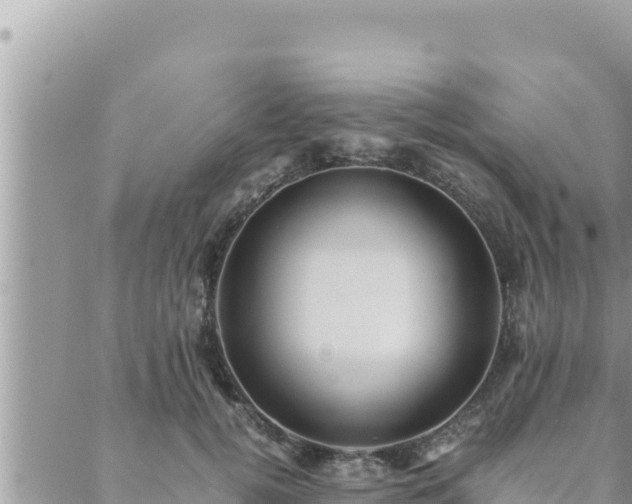 X0000088600752200706011202