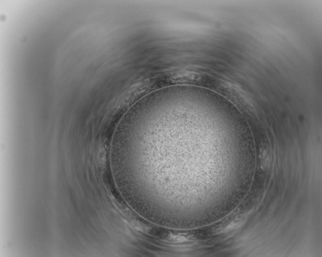 X0000088600753200706011202