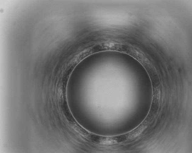 X0000088600754200706011202