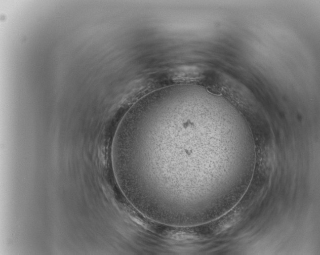 X0000088600755200706011202