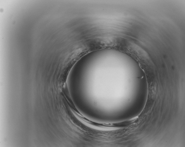 X0000088600756200706011202