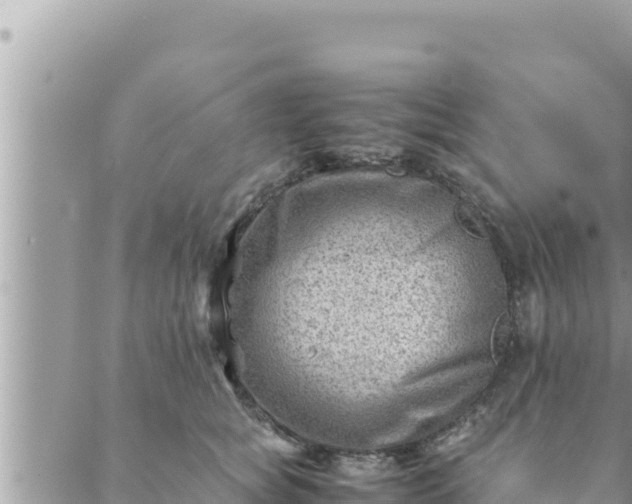 X0000088600757200706011202