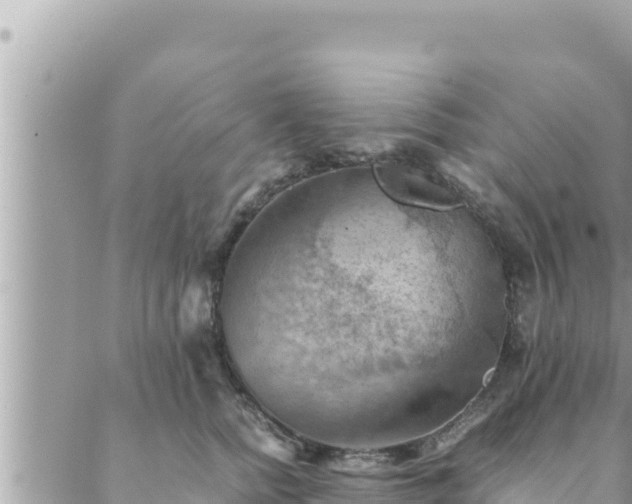 X0000088600758200706011202