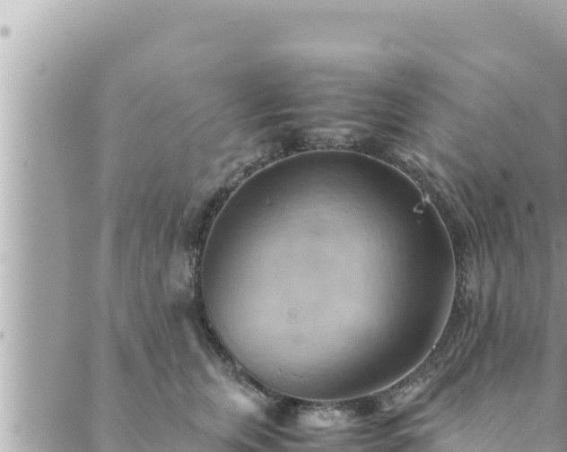 X0000088600759200706011202