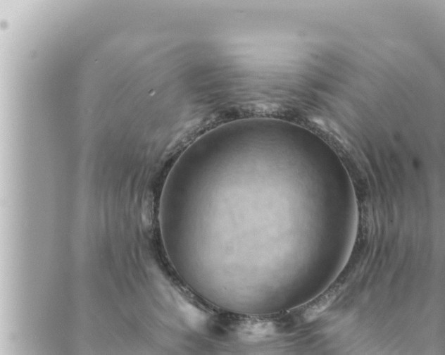 X0000088600760200706011202