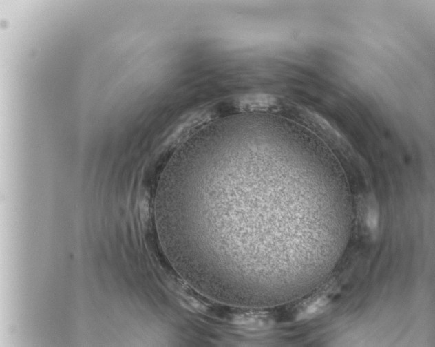 X0000088600761200706011202