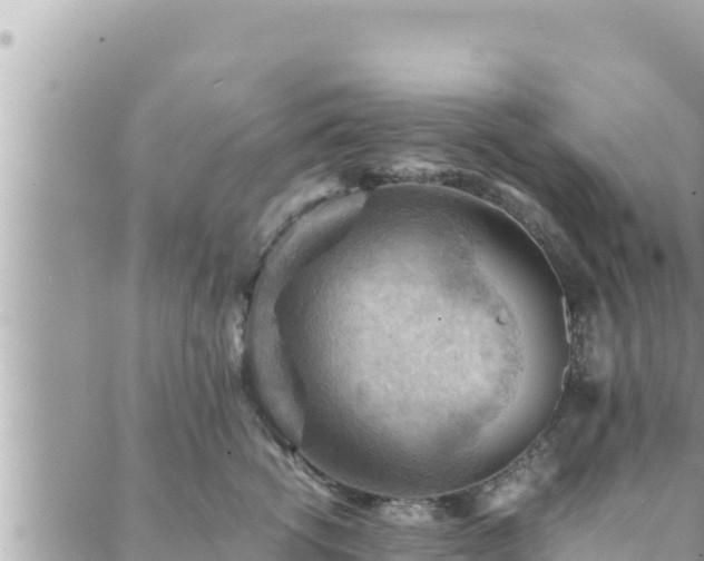 X0000088600762200706011202