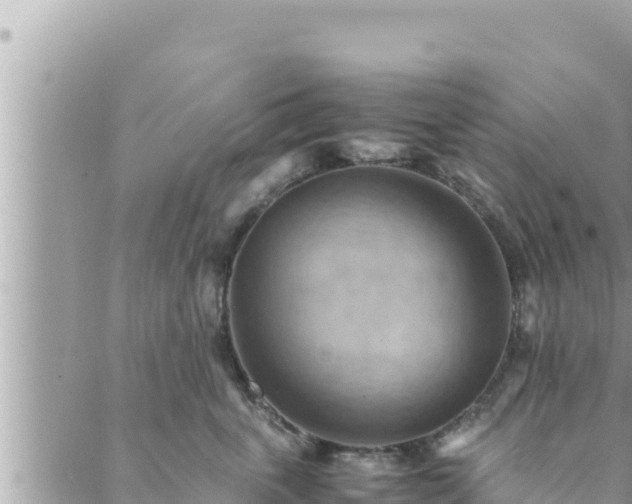 X0000088600763200706011202