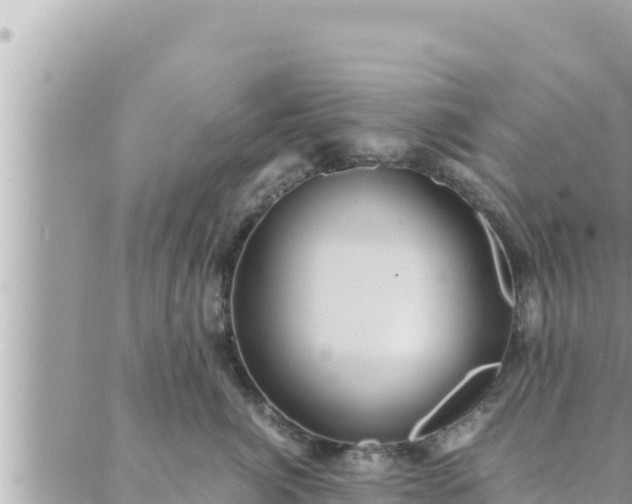 X0000088600764200706011202