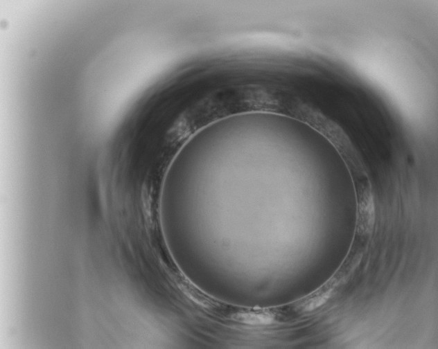 X0000088600765200706011202