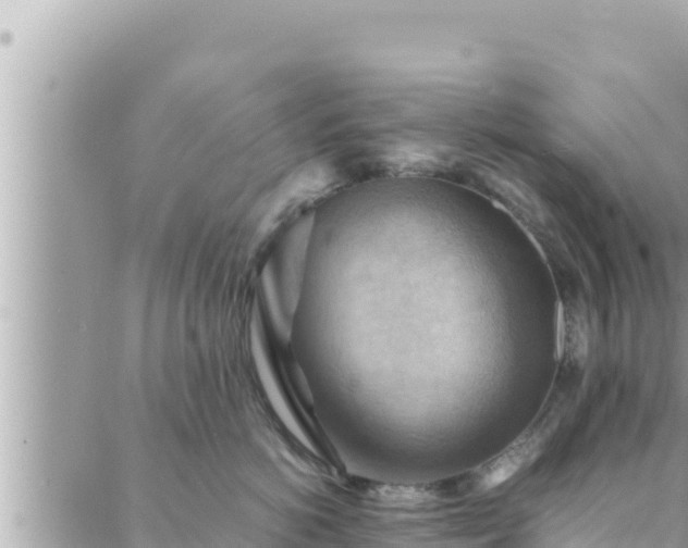 X0000088600766200706011202