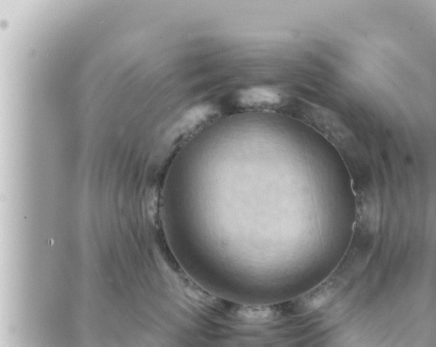 X0000088600767200706011202