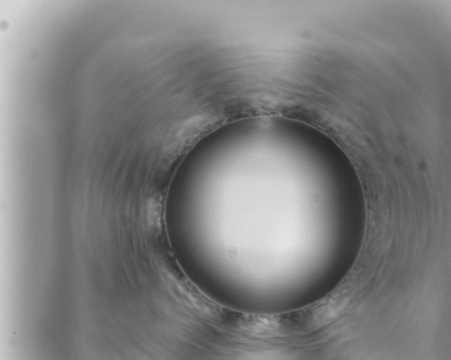 X0000088600768200706011202