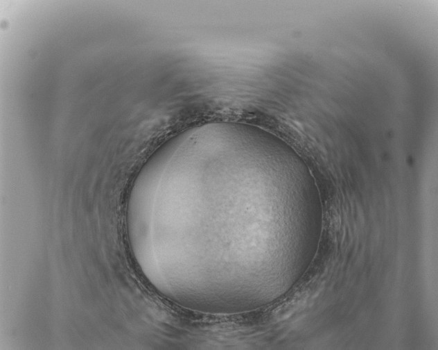 X0000088600769200706011202