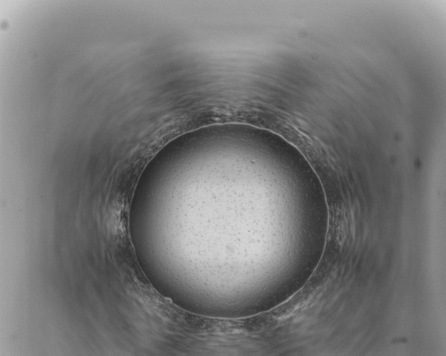 X0000088600770200706011202