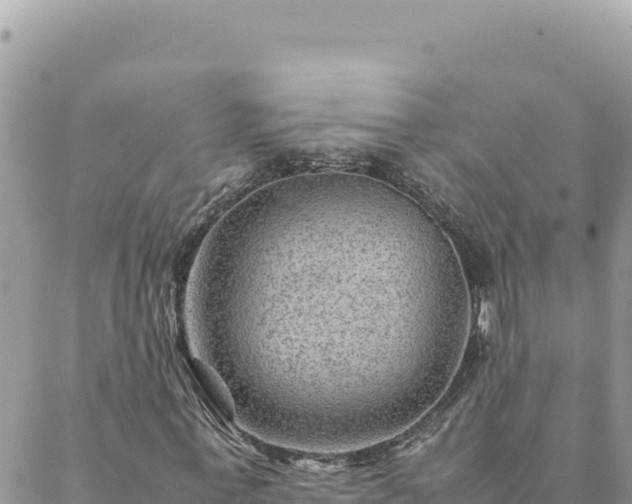 X0000088600771200706011202