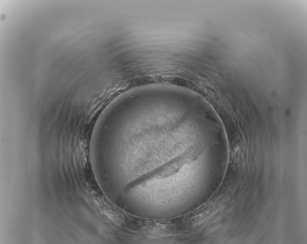 X0000088600772200706011202