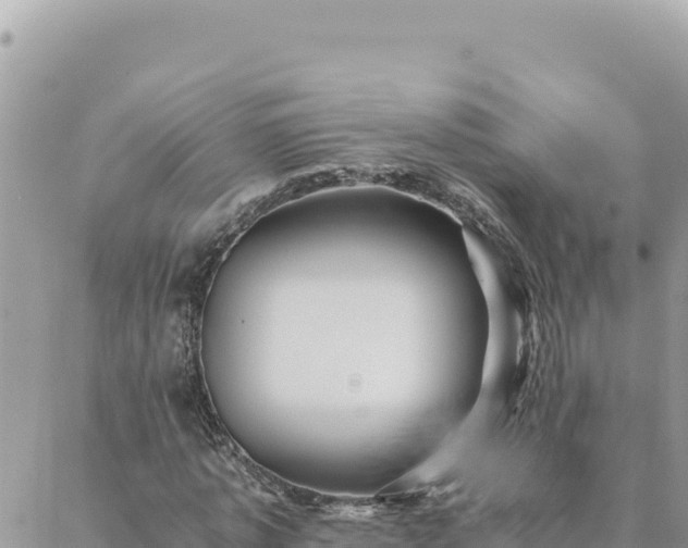 X0000088600773200706011202