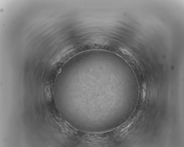 X0000088600774200706011202