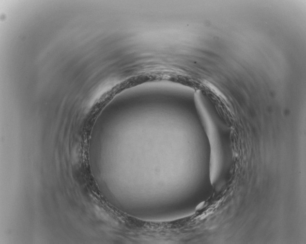 X0000088600775200706011202