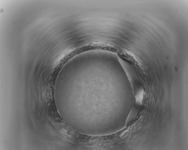 X0000088600776200706011202