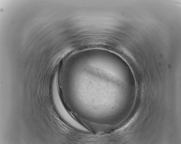 X0000088600777200706011201