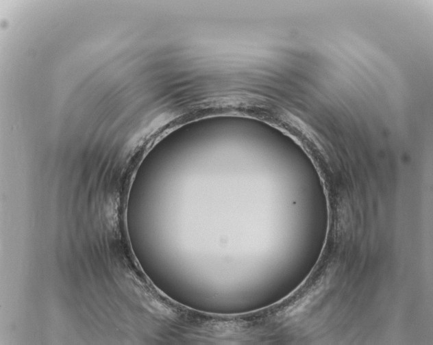 X0000088600778200706011201