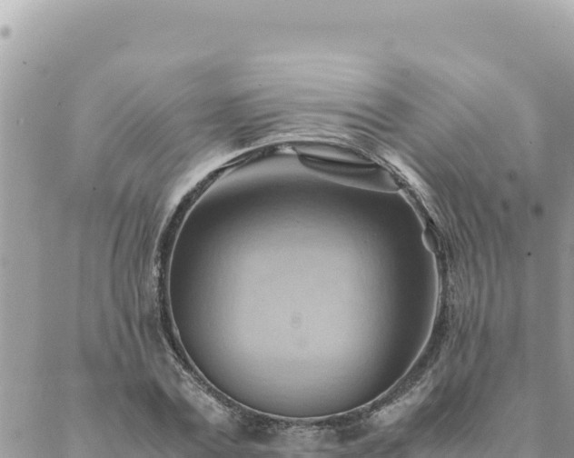 X0000088600779200706011201