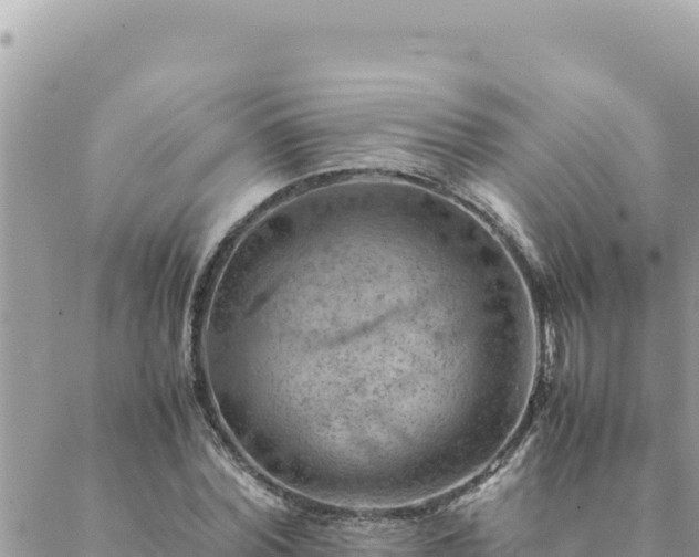 X0000088600780200706011201