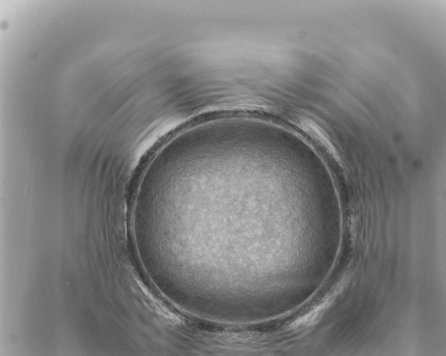 X0000088600781200706011201