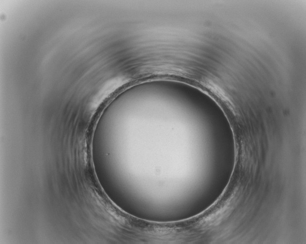 X0000088600782200706011201