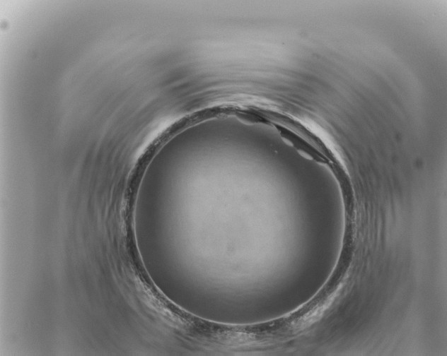 X0000088600783200706011201