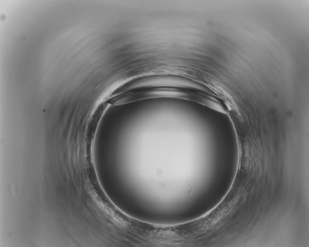 X0000088600784200706011201