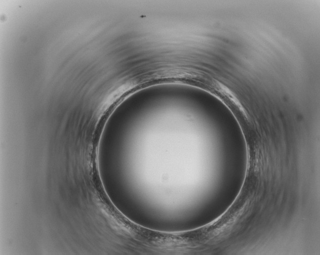 X0000088600786200706011201